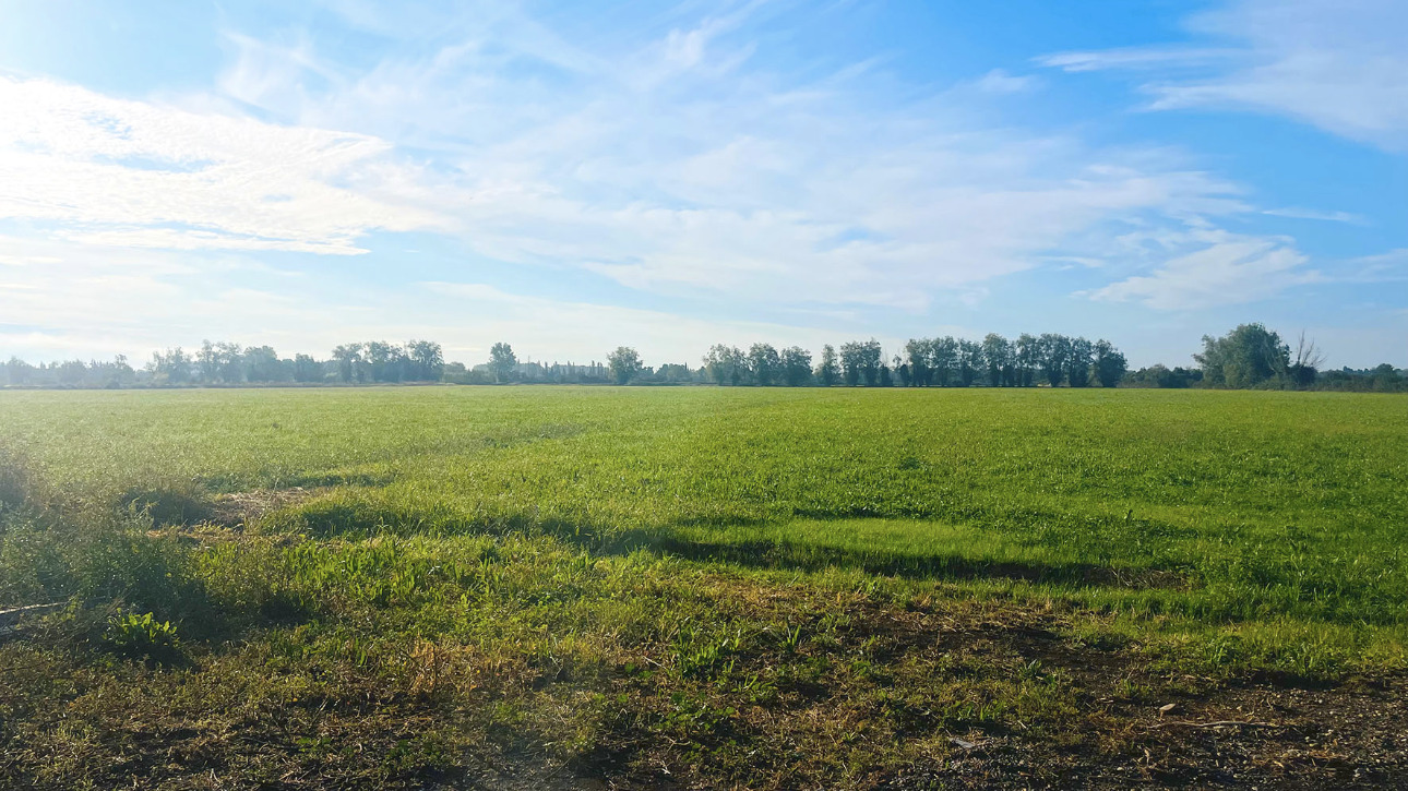 Photos 5 - Agricultural - Property to renovate on 6.5 hectares