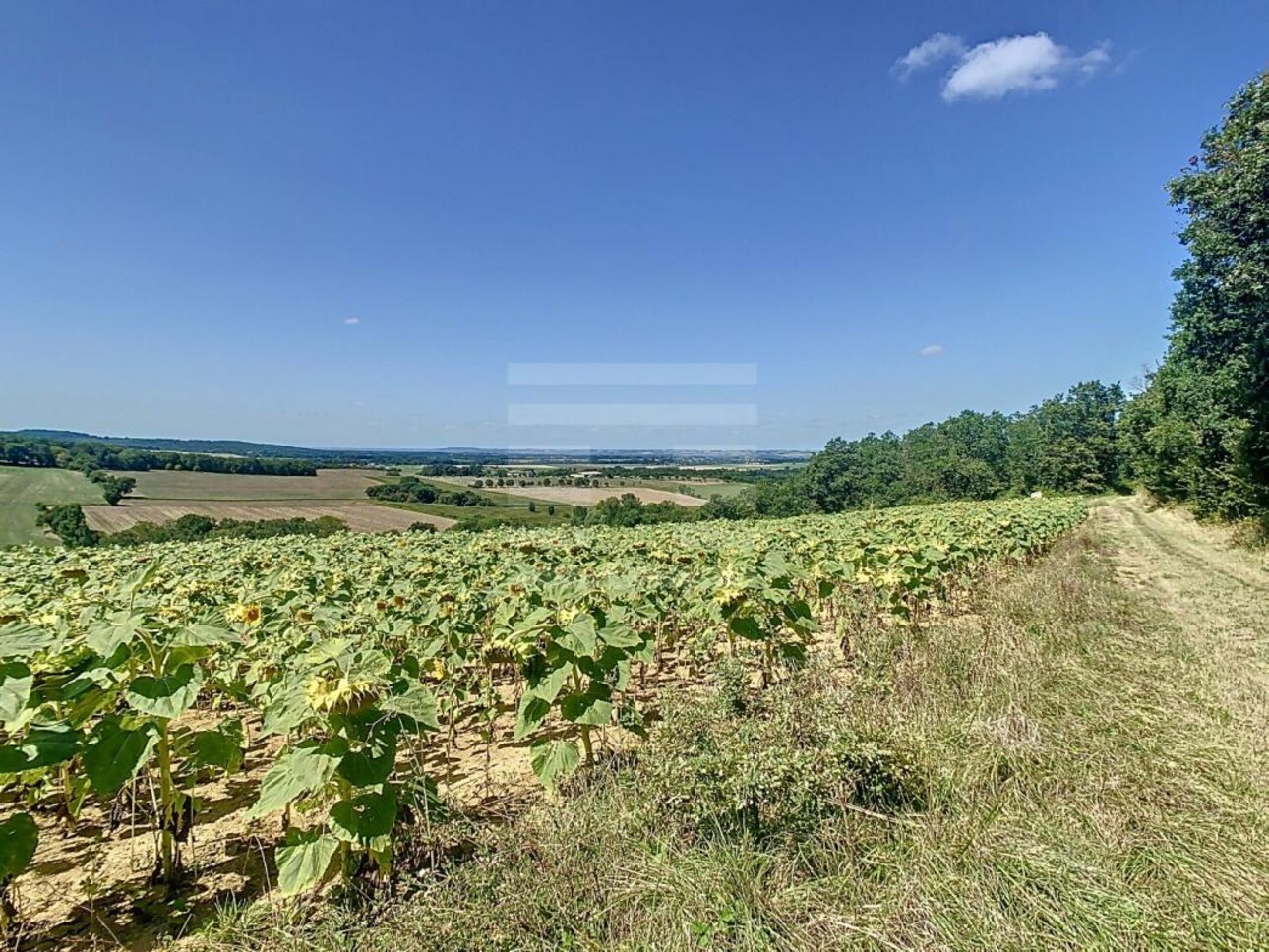 Photos 7 - Agricole - Terrain agricole