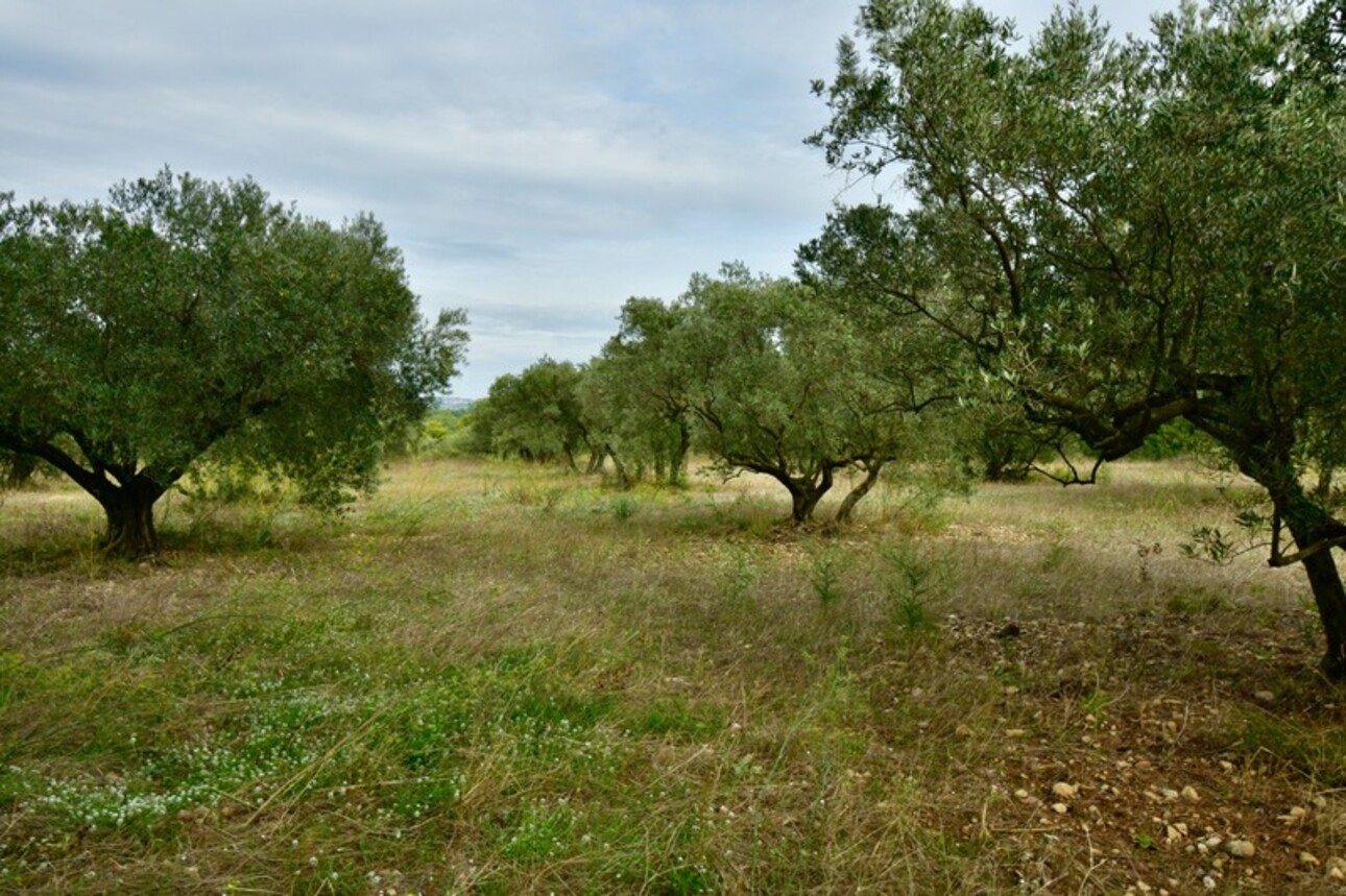 Photos 2 - Foncière - Dpt Bouches du Rhône (13), à vendre FONTVIEILLE terrain