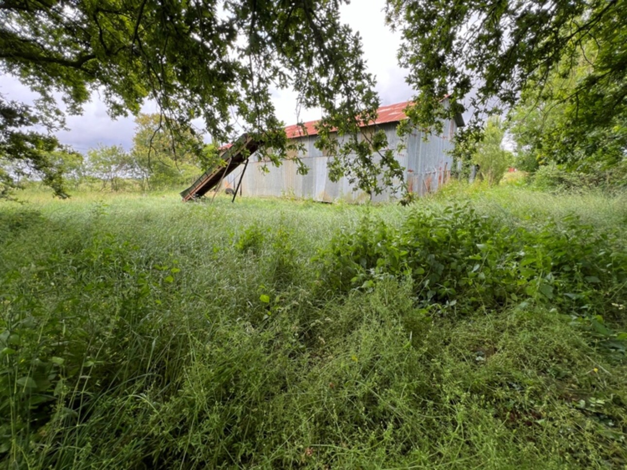 Photos 1 - Foncière - Dpt Maine et Loire (49), à vendre SEGRE terrain