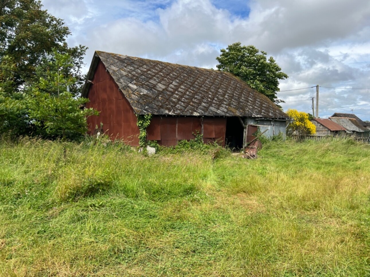 Photos 3 - Foncière - Dpt Maine et Loire (49), à vendre SEGRE terrain