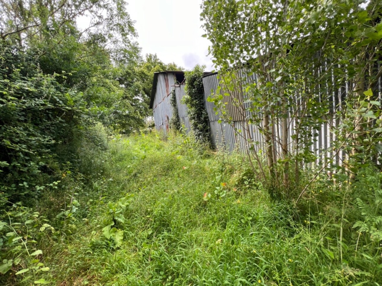 Photos 6 - Foncière - Dpt Maine et Loire (49), à vendre SEGRE terrain