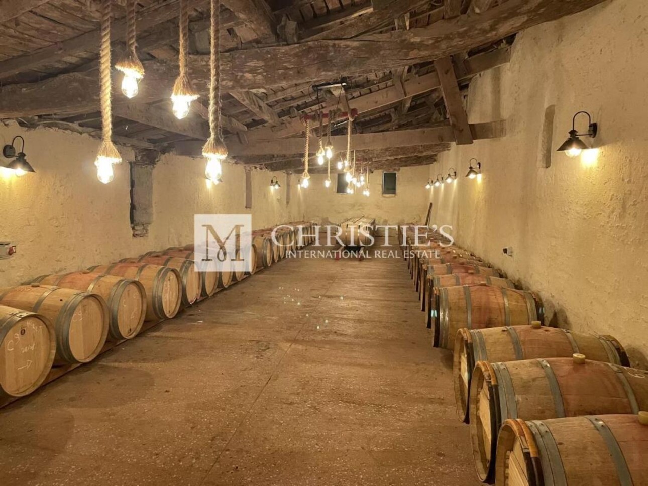 Photos 14 - Vineyard - Sumptuous Chartreuse estate with vineyard near Saint-Emilion