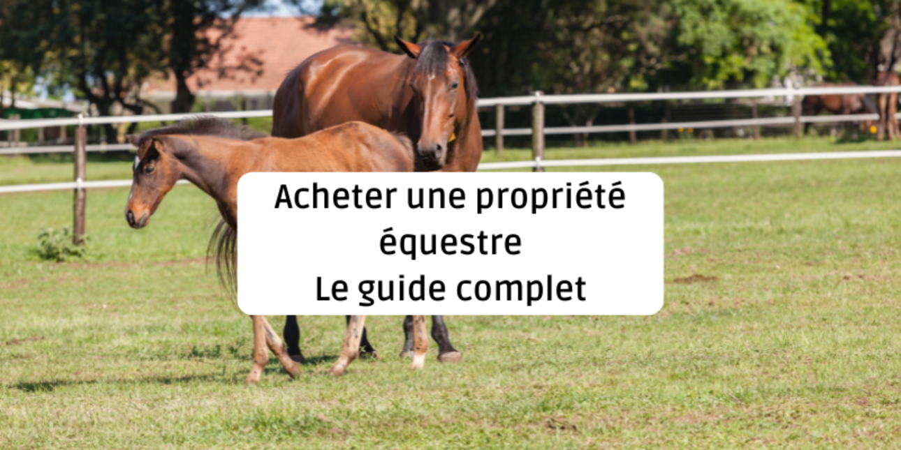 Acheter une propriété équestre - Le guide complet