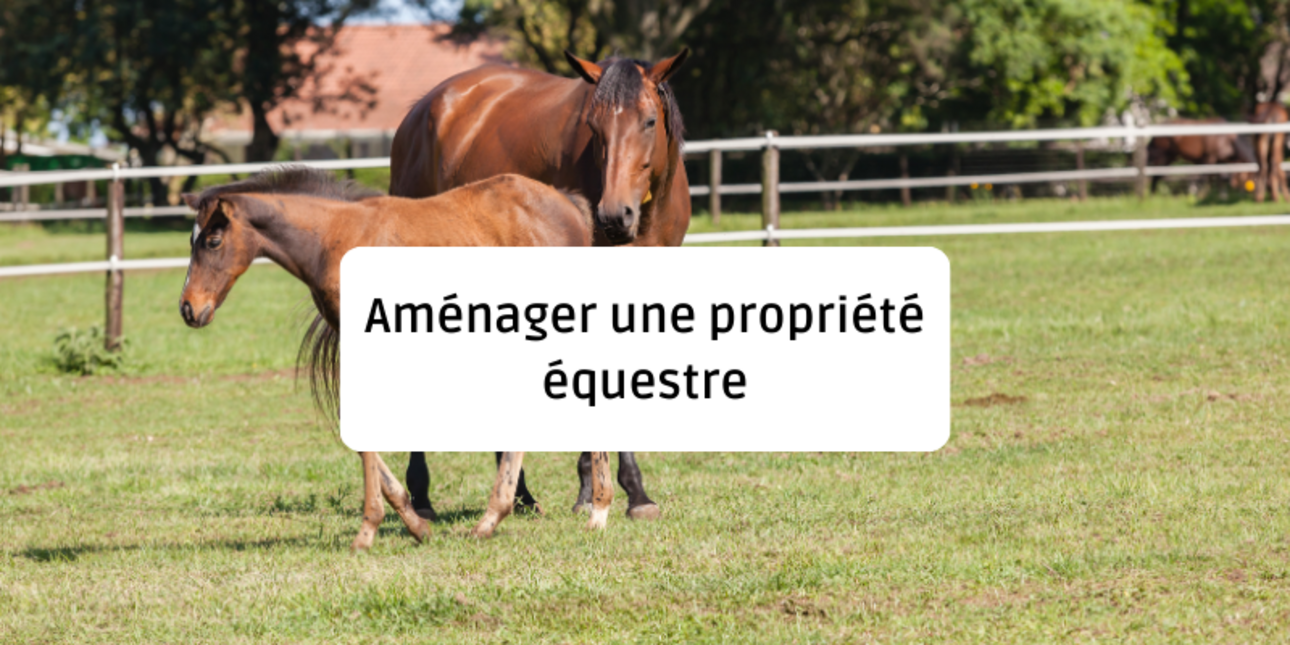 Tips and tricks for outfitting your equestrian properties