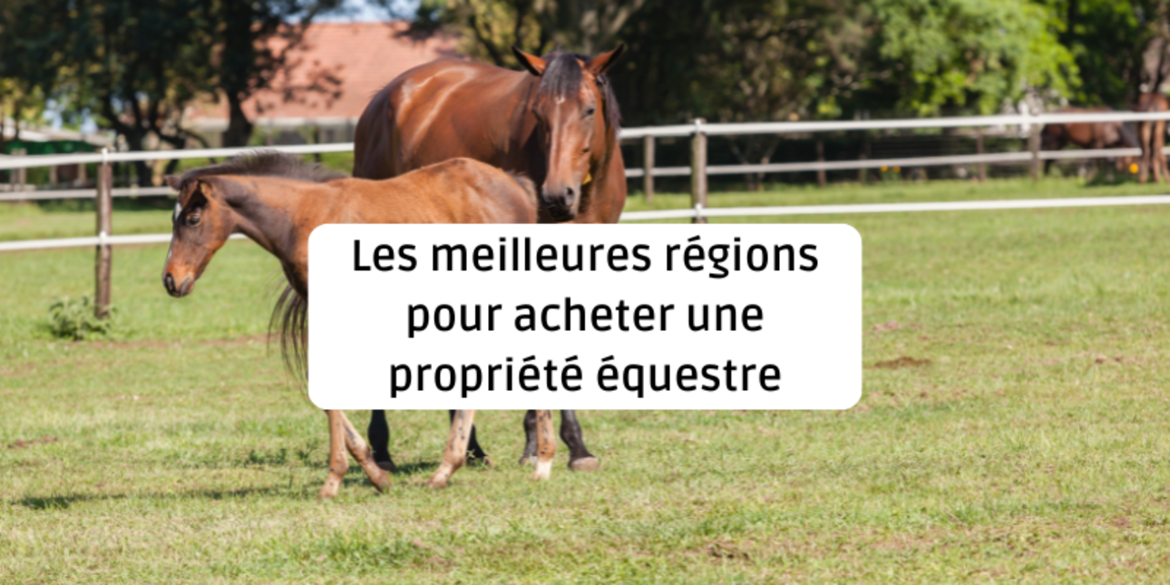 The best regions to buy an equestrian property in France