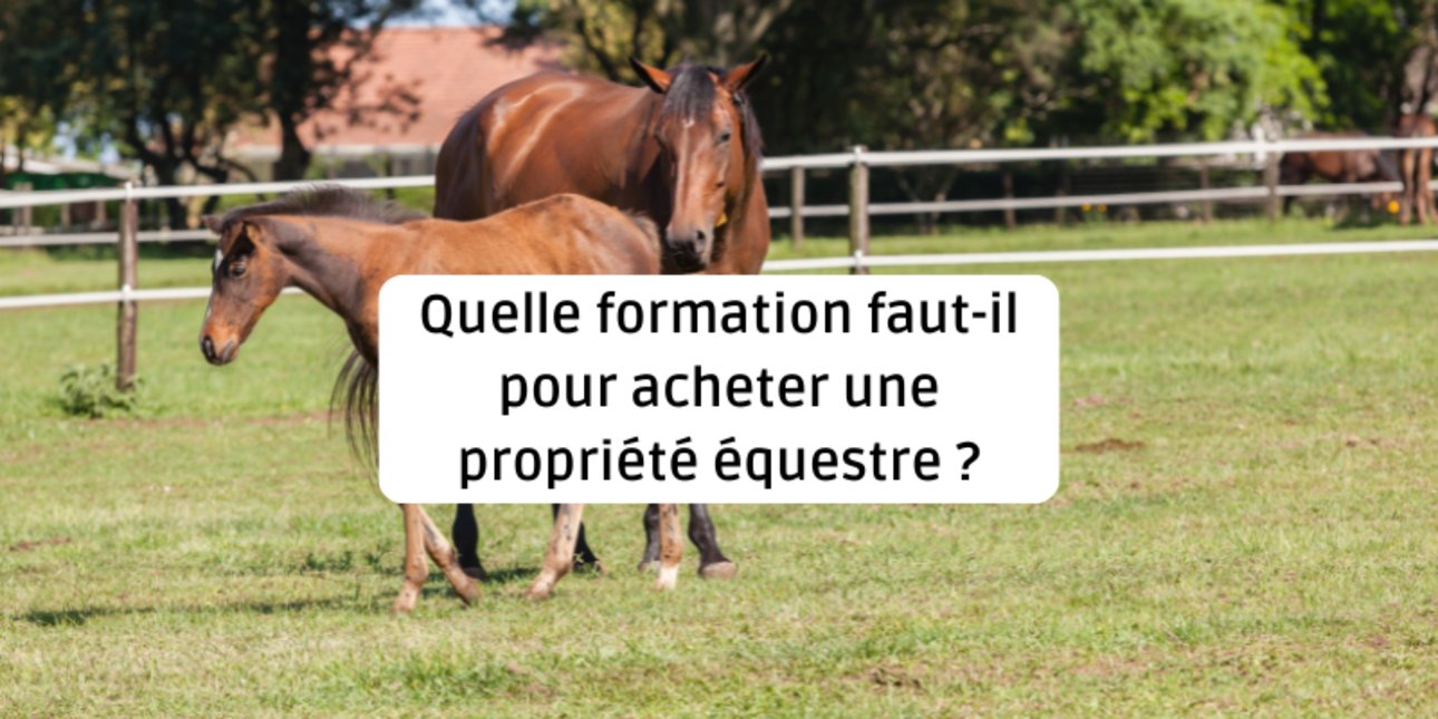 Quelle formation faut-il pour acheter une propriété équestre ?