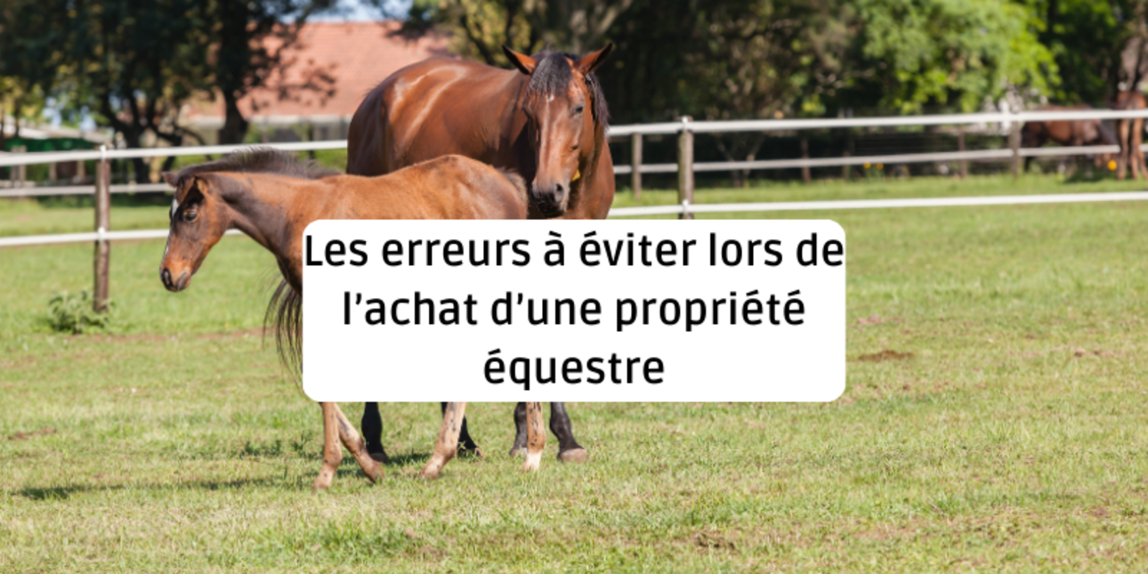 Mistakes to avoid when buying an equestrian property