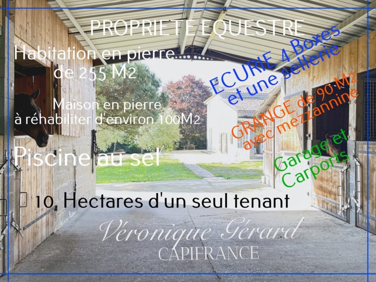 Photos 2 - Équestre - PROPRIETE EQUESTRE SUR PLUS DE 10 HECTARES