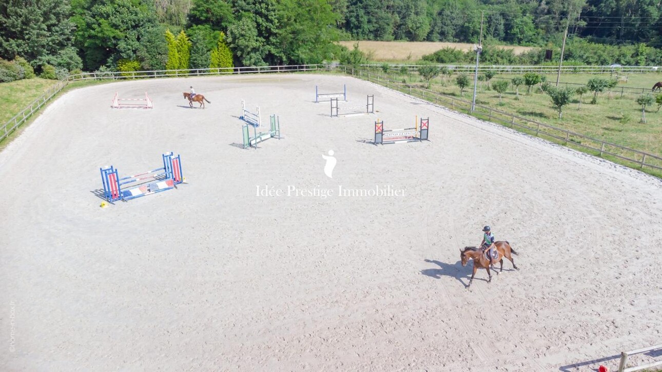 Photos 4 - Equestrian - Domaine équestre haut de gamme