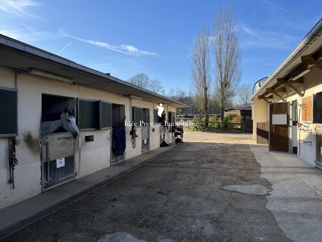 Photos 7 - Equestrian - Domaine équestre haut de gamme