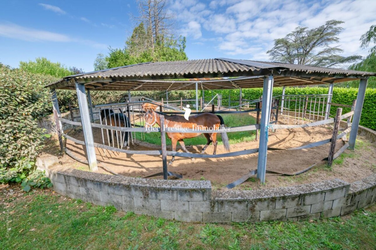 Photos 8 - Equestrian - Domaine équestre haut de gamme