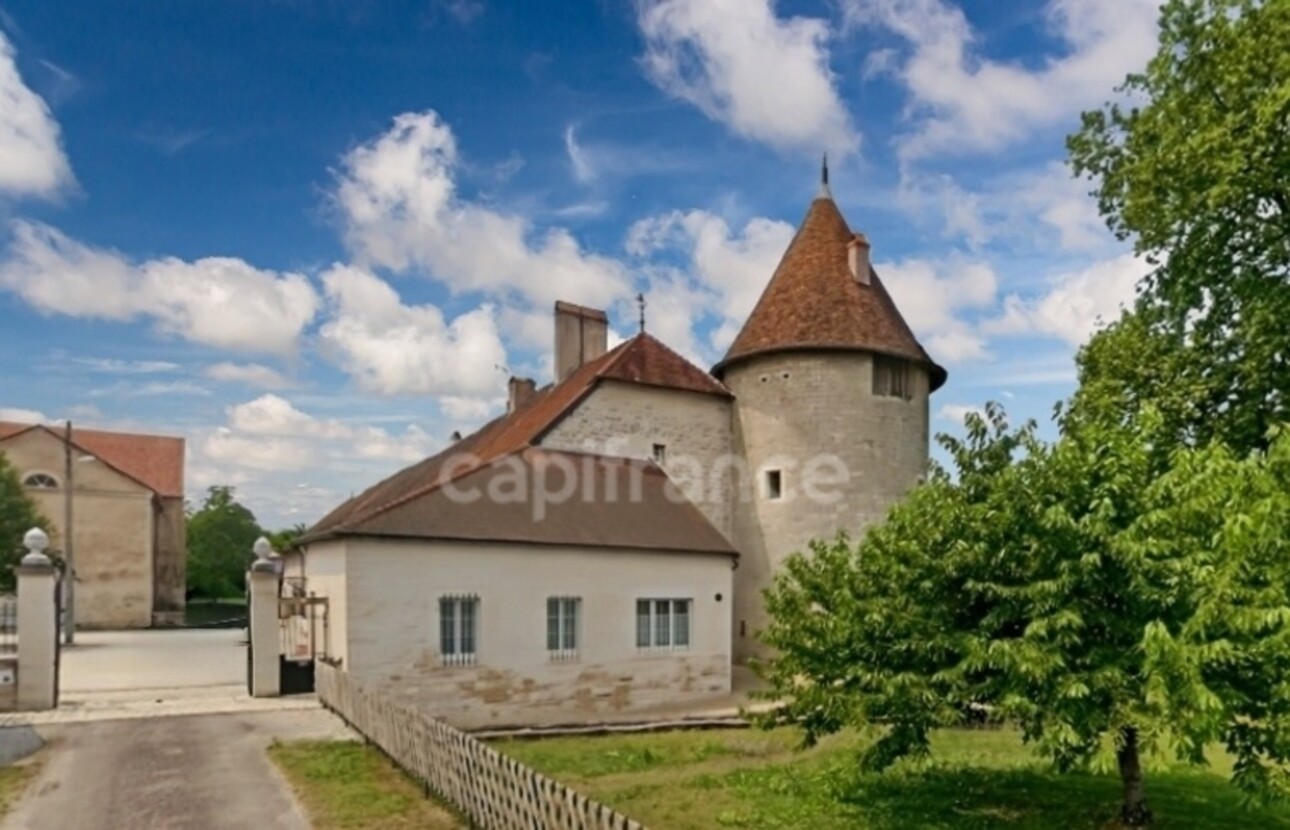 Photos 7 - Prestige - Proche de DOLE (39) Château fort du XIIIème siècle de 20 pièces