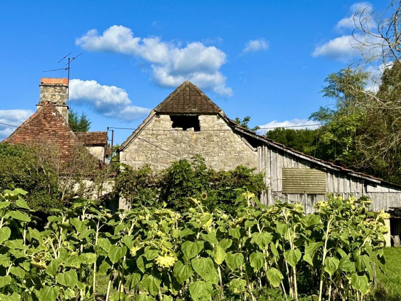 Photos 8 - Touristique - Corps de ferme