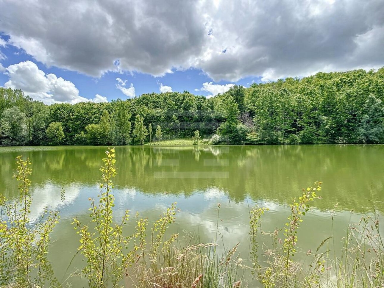 Photos 4 - Agricultural - Orchard property