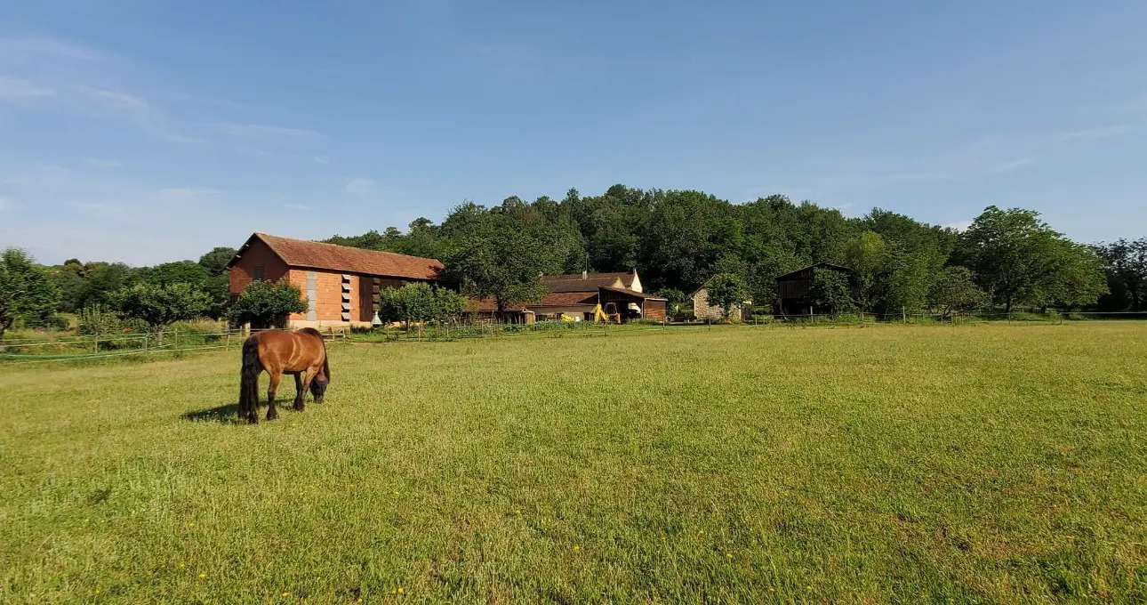 Photos 18 - Equestrian - Renovated 4-bed Equestrian Property with 2-bed Cottage and 1-bed Apartment , 6 hectares, 6 stables