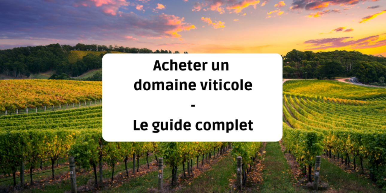 Acheter un domaine viticole - Le guide complet