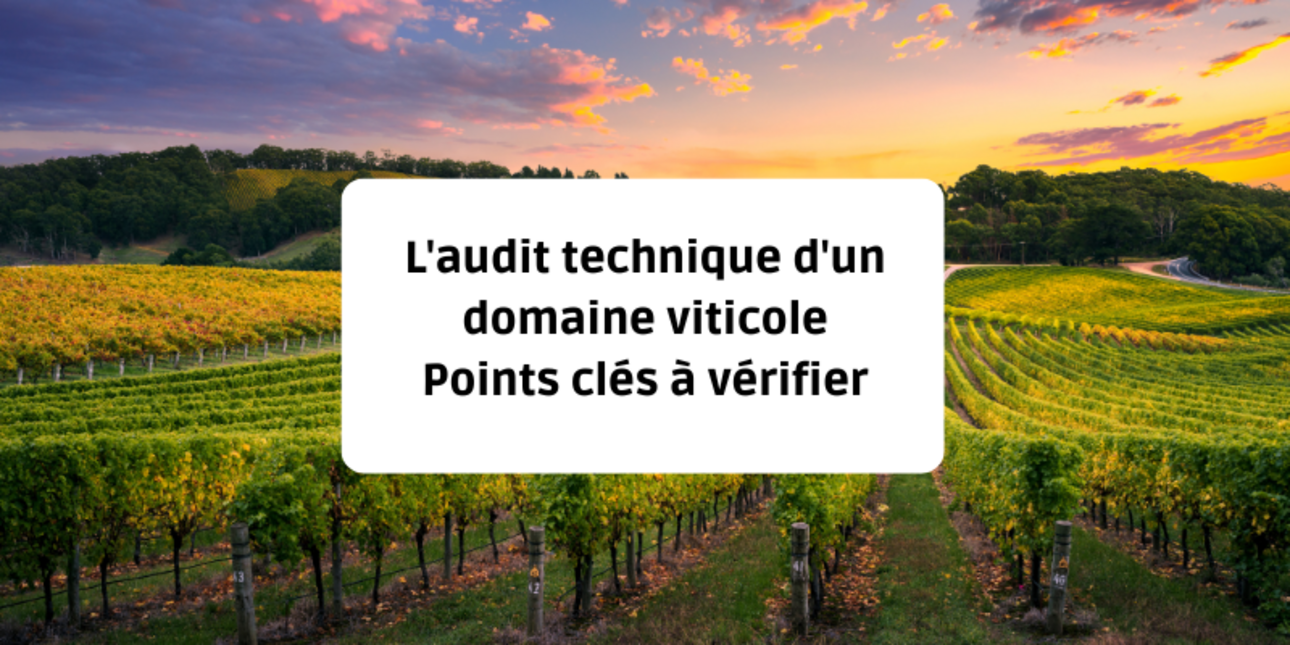 L'audit technique d'un domaine viticole : points clés à vérifier