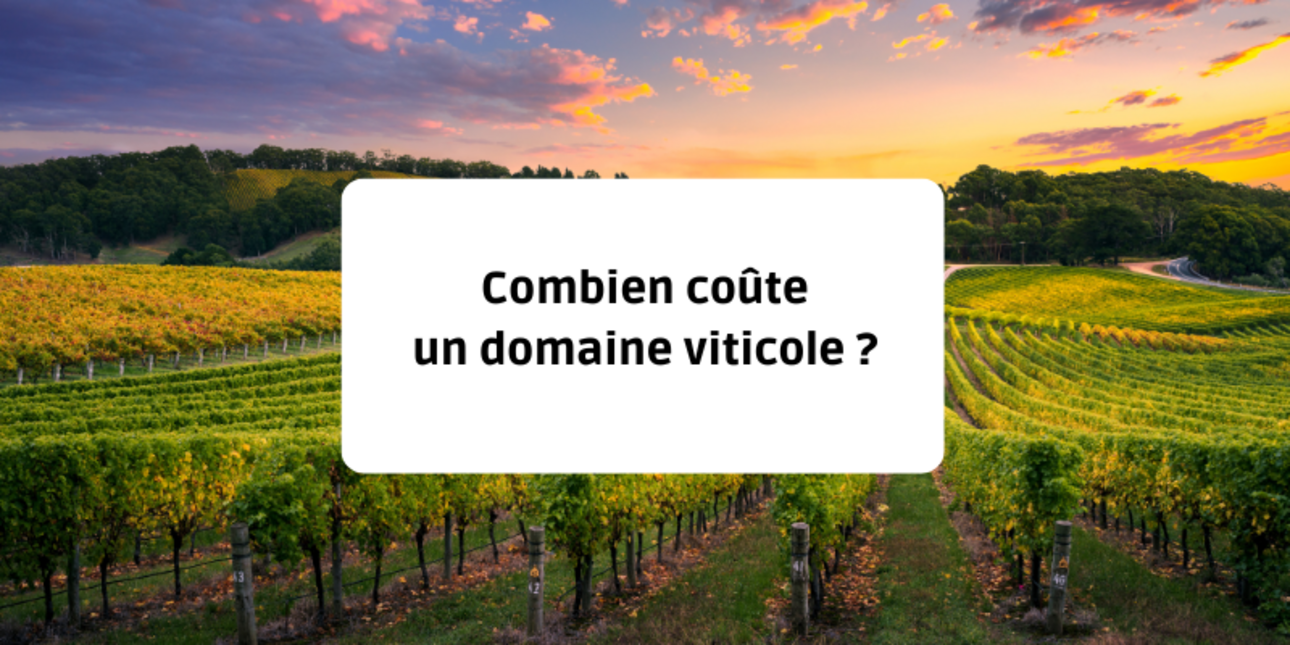 Combien coûte un domaine viticole ?