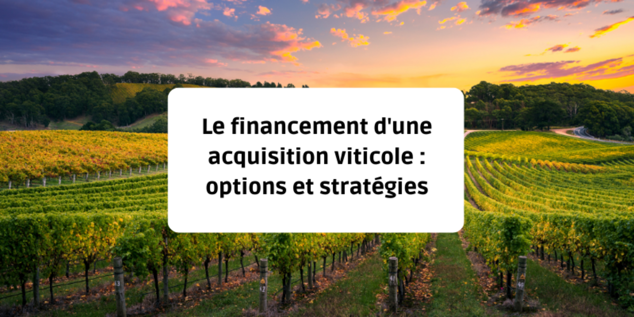 Le financement d'une acquisition viticole : options et stratégies