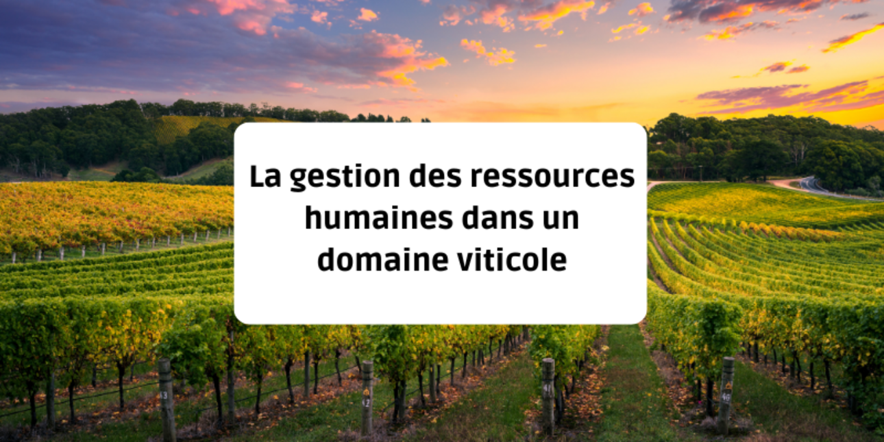 La gestion des ressources humaines dans un domaine viticole