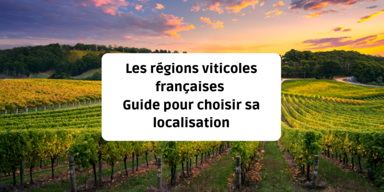 Les régions viticoles françaises : guide pour choisir sa localisation