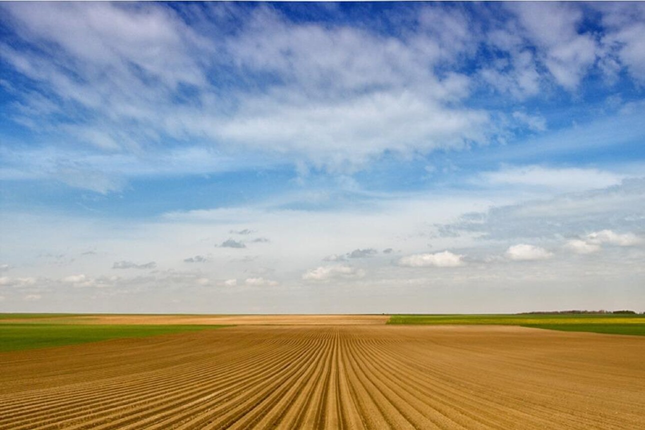 Photos 1 - Agricultural - EXCLUSIVITE NORD DE TOURS