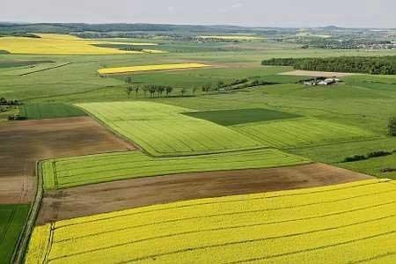 Photos 2 - Agricole - EXCLUSIVITE NORD DE TOURS