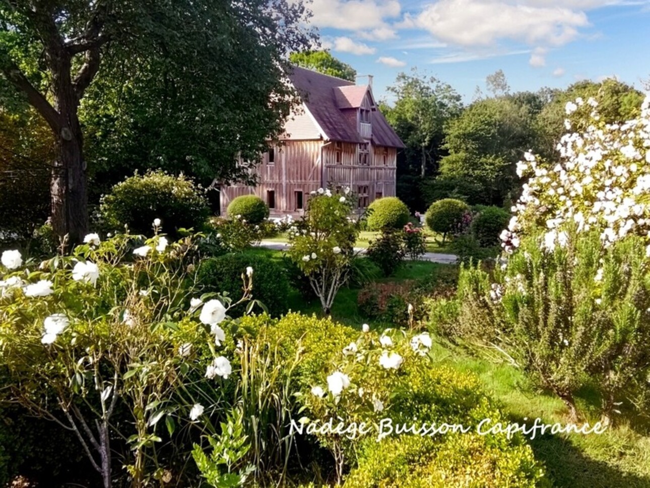 Photos 1 - Équestre - À vendre propriété de 7 pièces sur 3,3 ha proche LIVAROT PAYS D'AUGE (14)