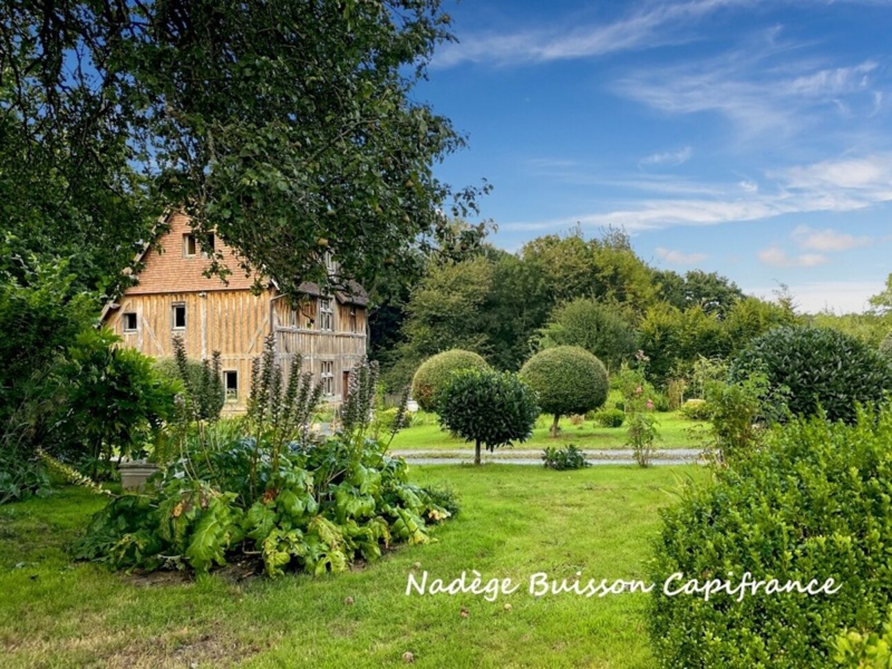 Photos 13 - Équestre - À vendre propriété de 7 pièces sur 3,3 ha proche LIVAROT PAYS D'AUGE (14)