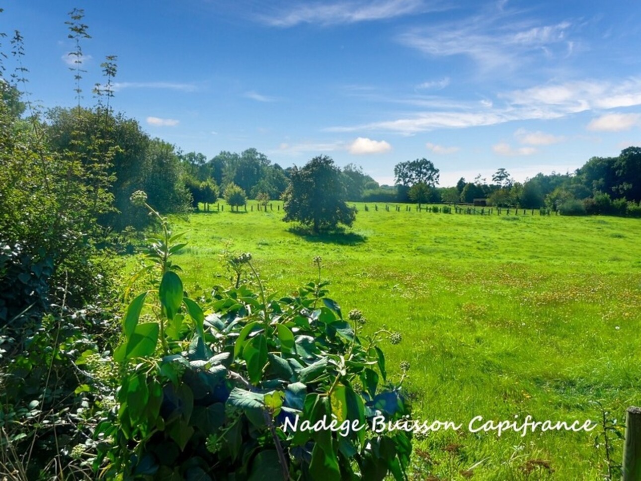 Photos 21 - Équestre - À vendre propriété de 7 pièces sur 3,3 ha proche LIVAROT PAYS D'AUGE (14)