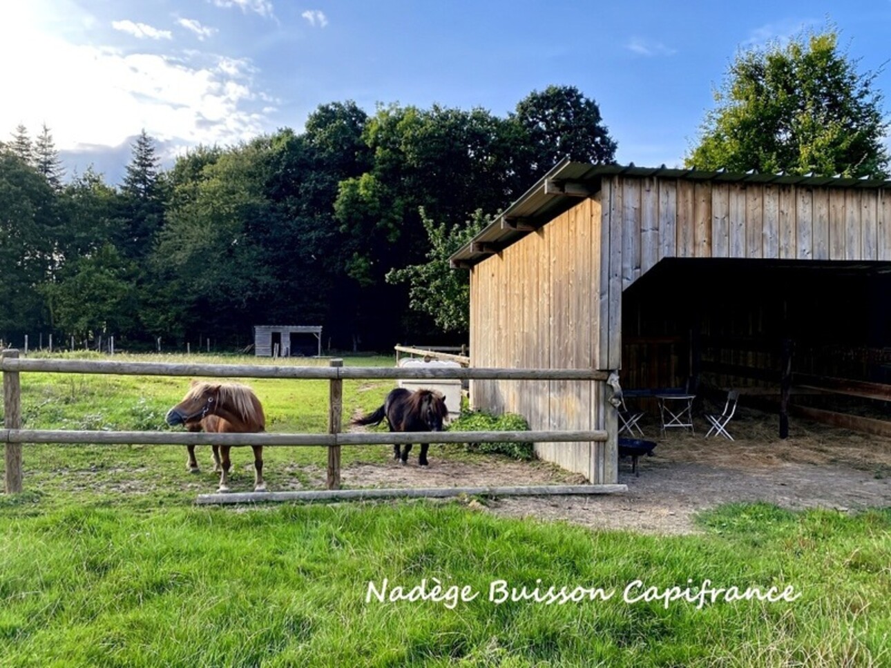 Photos 28 - Équestre - À vendre propriété de 7 pièces sur 3,3 ha proche LIVAROT PAYS D'AUGE (14)