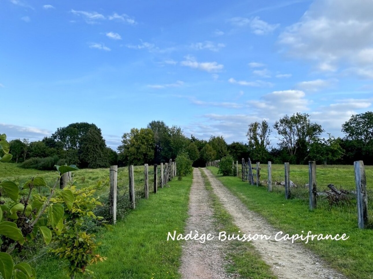 Photos 35 - Équestre - À vendre propriété de 7 pièces sur 3,3 ha proche LIVAROT PAYS D'AUGE (14)