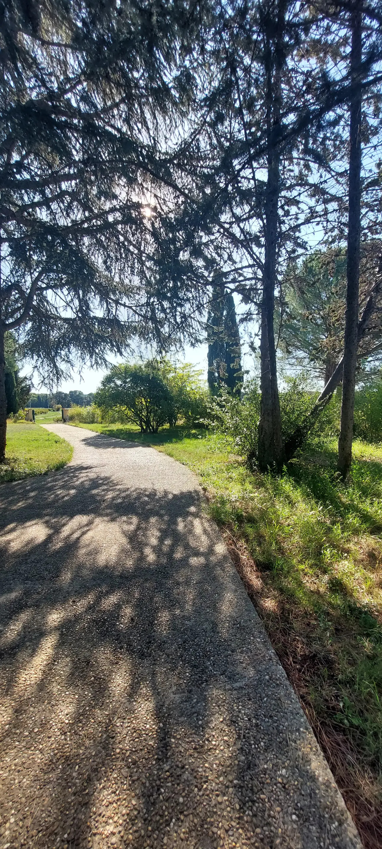 Photos 3 - Touristique - Mas de caractère sur 8000m2