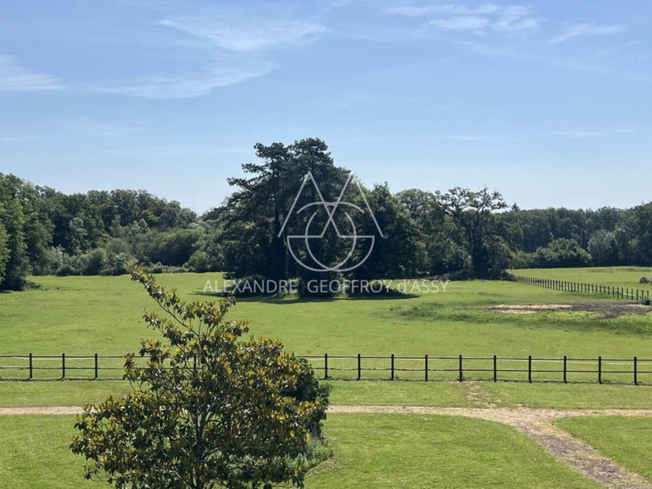 Photos 22 - Equestrian - Superbe château du XVI -ème a 25 min de Tours sur 15 ha avec de nombreuses dépendances