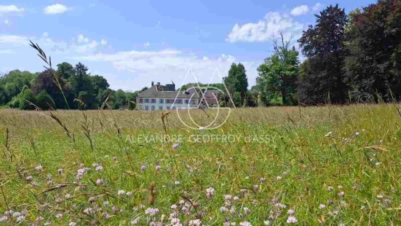 Photos 3 - Prestige - Château d’exception en Champagne proche de Colombey les deux églises  avec un beau potentiel