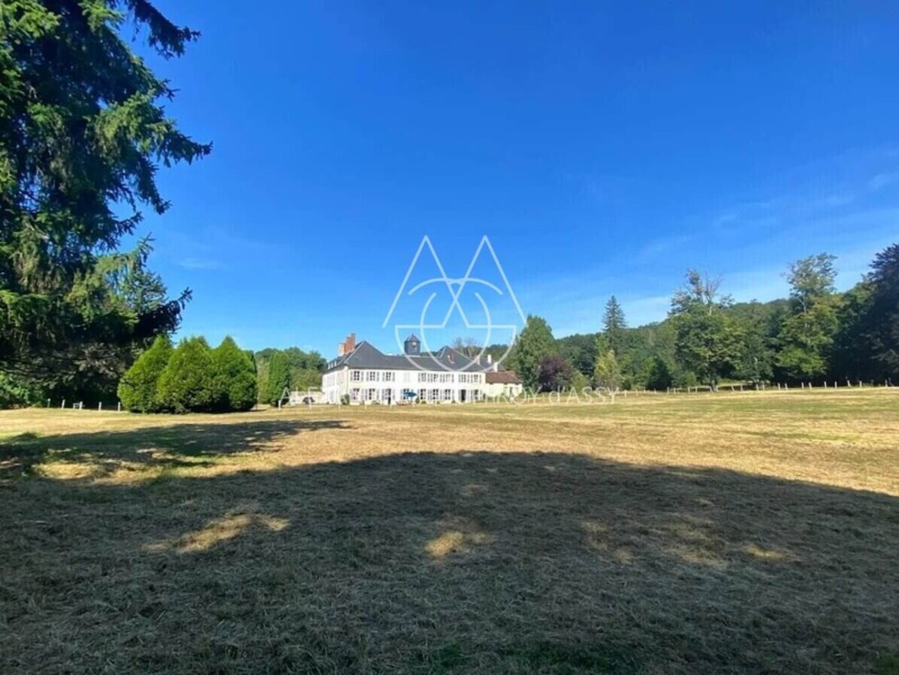 Photos 4 - Prestige - Château d’exception en Champagne proche de Colombey les deux églises  avec un beau potentiel