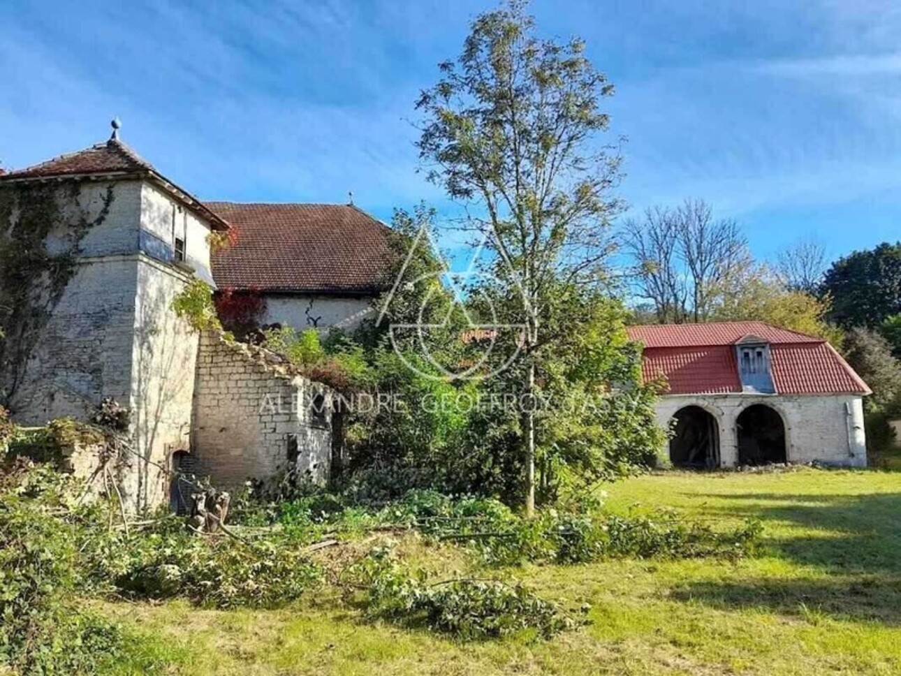 Photos 8 - Prestige - Château d’exception en Champagne proche de Colombey les deux églises  avec un beau potentiel