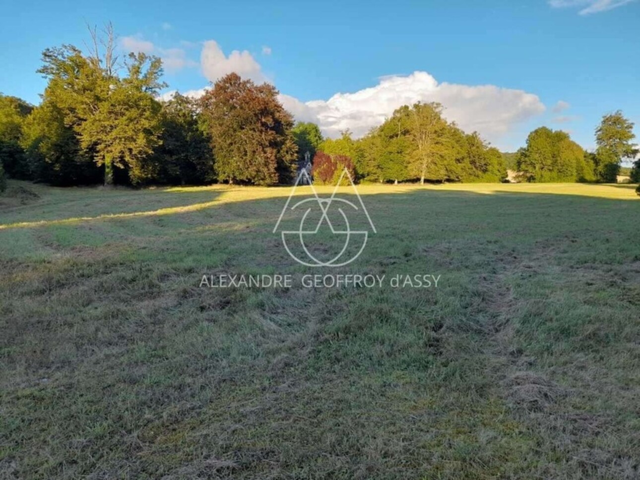 Photos 9 - Prestige - Château d’exception en Champagne proche de Colombey les deux églises  avec un beau potentiel