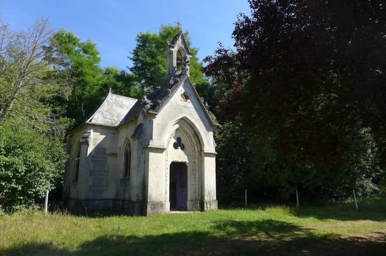 Photos 24 - Prestigious - Château d’exception en Champagne proche de Colombey les deux églises  avec un beau potentiel