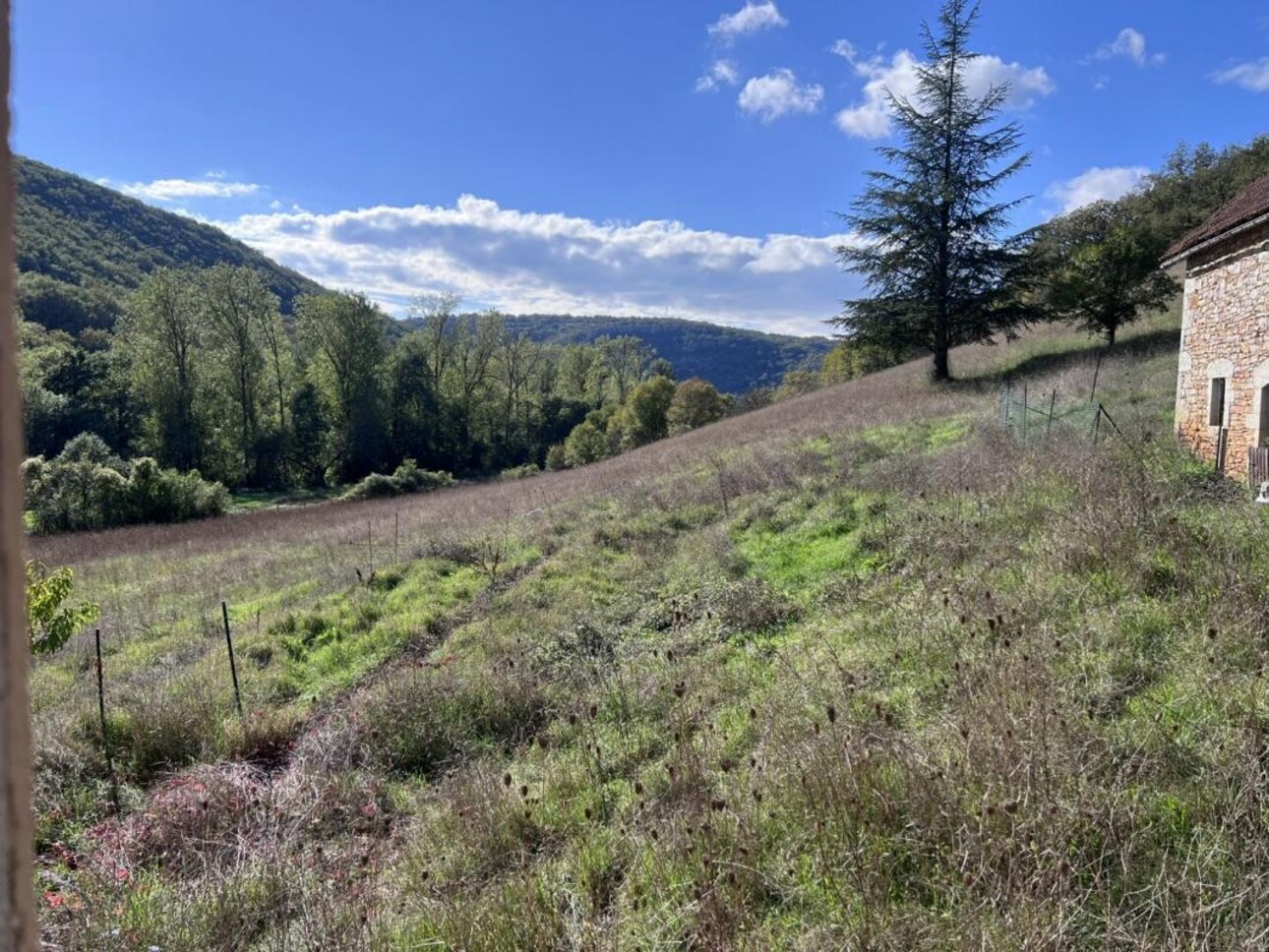 Photos 4 - Forestière - Propriété