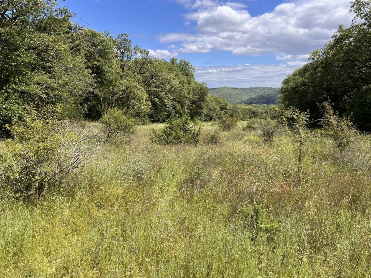 Photos 6 - Forestière - Propriété