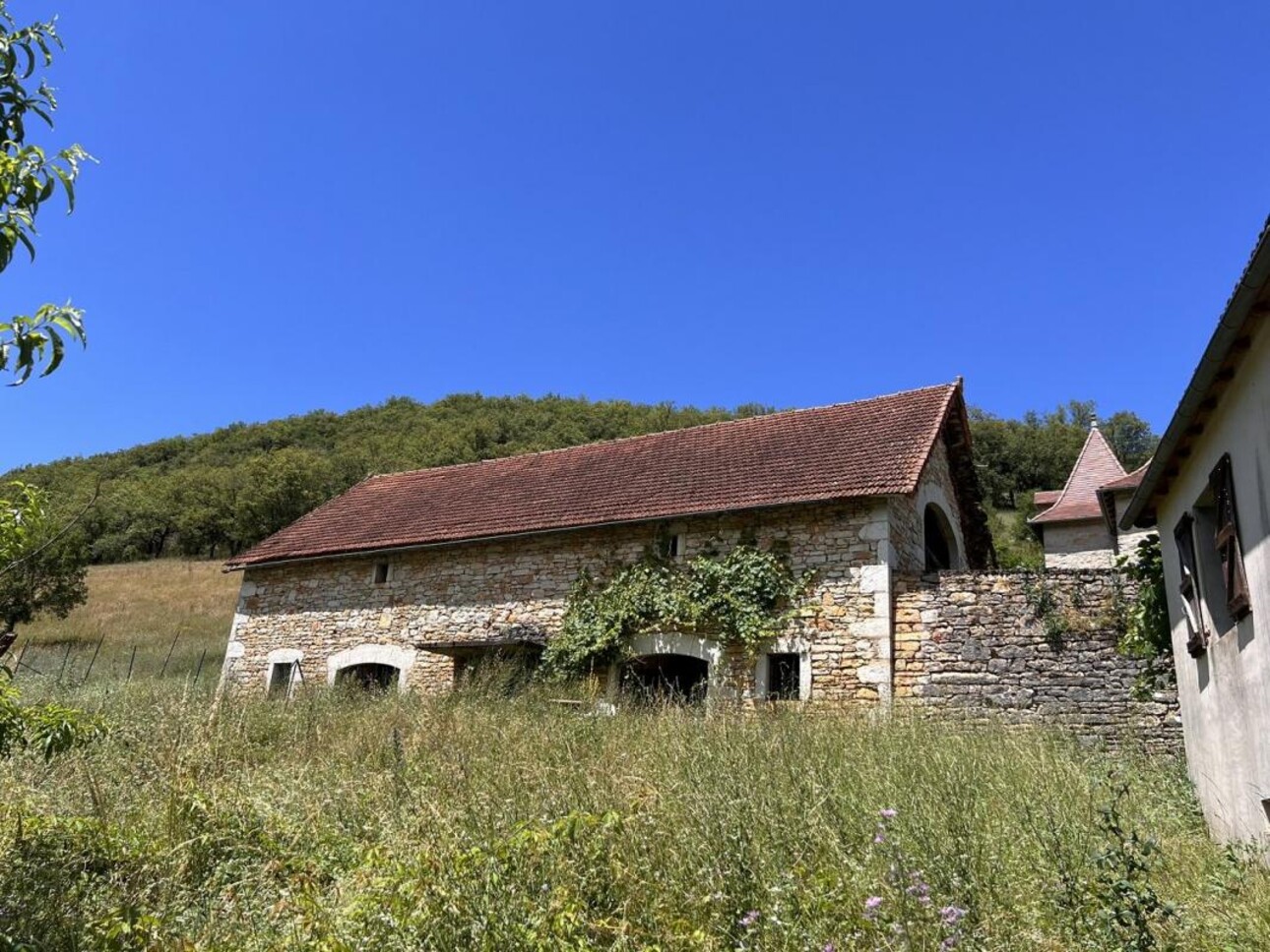 Photos 9 - Forestière - Propriété