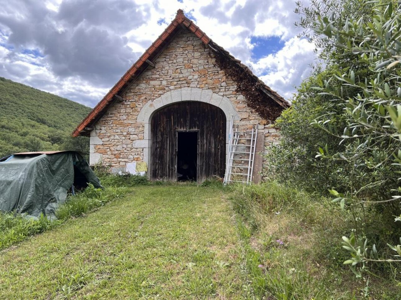 Photos 10 - Forestière - Propriété