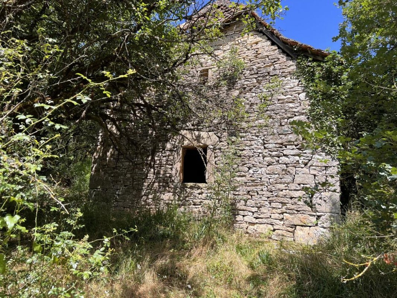 Photos 20 - Forestière - Propriété