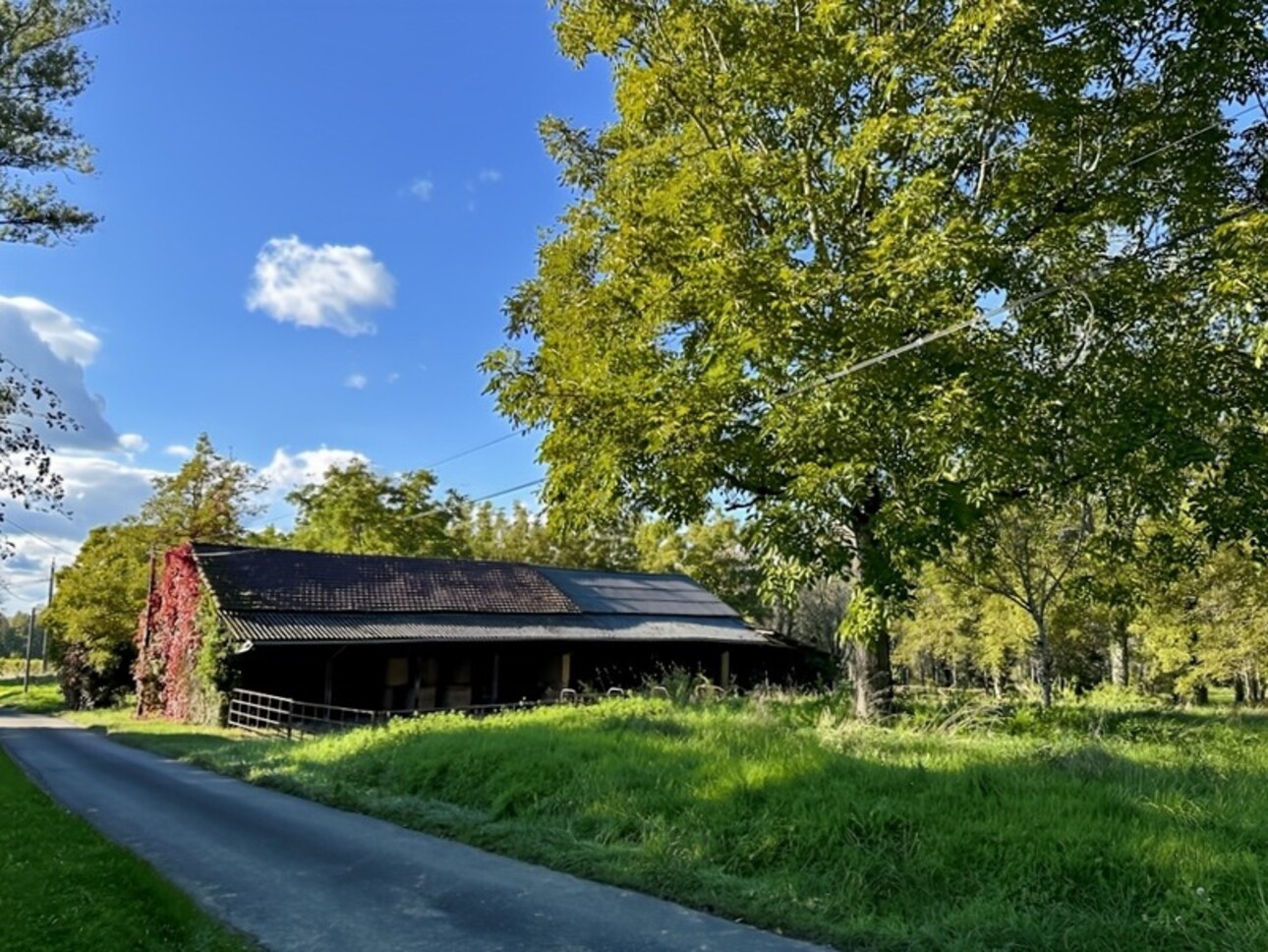 Photos 1 - Agricole - Dpt Gers (32), à vendre proche de EAUZE - Hangar agricole et bois- Terrain de 61200 m²