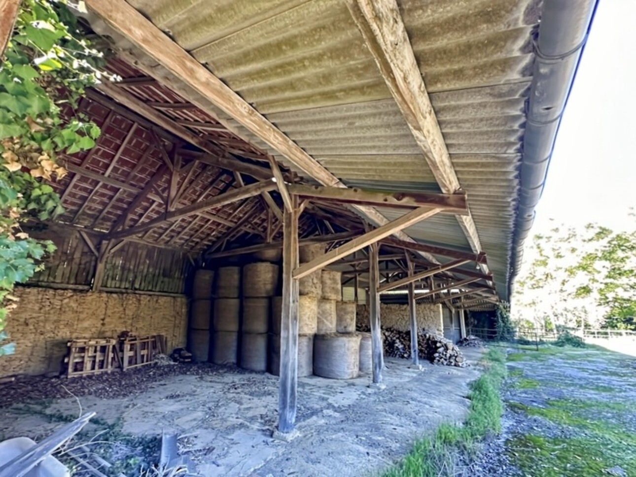 Photos 3 - Agricole - Dpt Gers (32), à vendre proche de EAUZE - Hangar agricole et bois- Terrain de 61200 m²