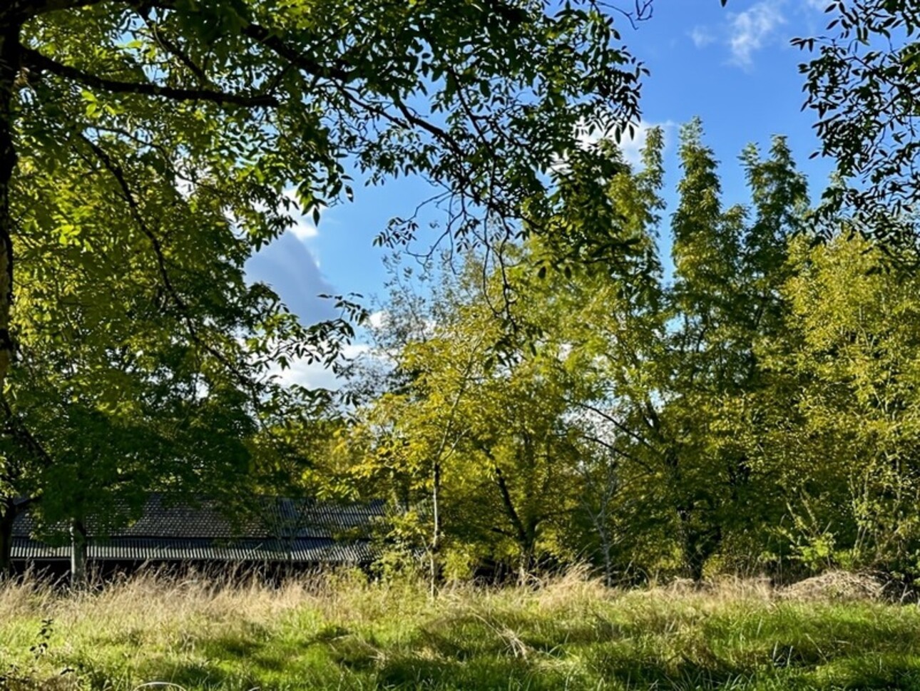 Photos 7 - Agricole - Dpt Gers (32), à vendre proche de EAUZE - Hangar agricole et bois- Terrain de 61200 m²