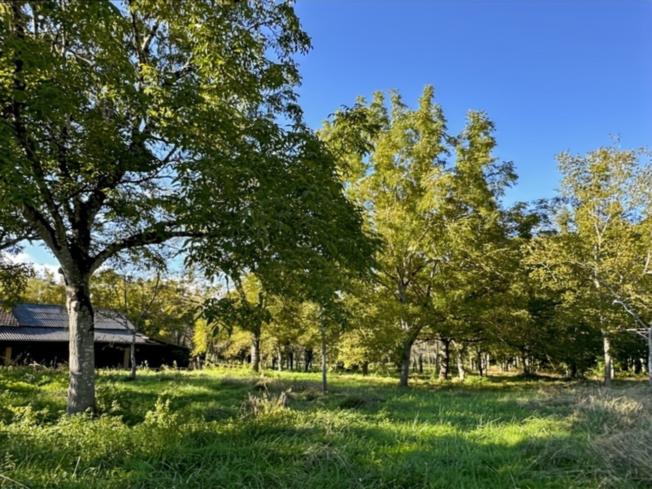 Photos 9 - Agricole - Dpt Gers (32), à vendre proche de EAUZE - Hangar agricole et bois- Terrain de 61200 m²