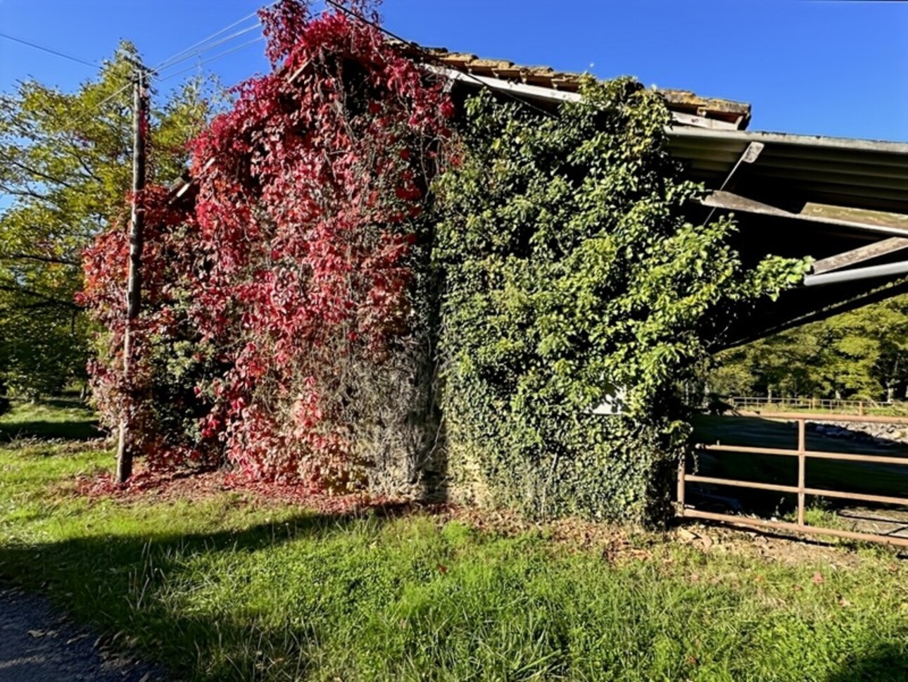 Photos 14 - Agricole - Dpt Gers (32), à vendre proche de EAUZE - Hangar agricole et bois- Terrain de 61200 m²